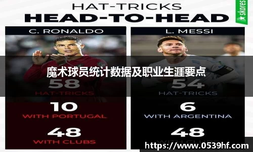 魔术球员统计数据及职业生涯要点